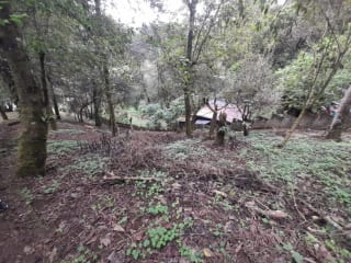 VENDO HERMOSA GRANJA EN EL MANZANILLO, SACATEPÉQUEZ — Casa en Venta en San Lucas Sacatepéquez, Sacatepéquez — miniatura 8 de 17