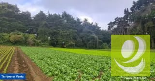 Terreno en Venta en Santo Tomas Milpas Altas, Sacatepéquez — Terreno en Venta en Santo Tomás Milpas Altas, Sacatepéquez — miniatura 1 de 8