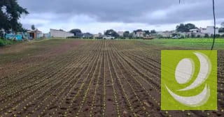 Terreno en Venta en Santo Tomas Milpas Altas, Sacatepéquez — Terreno en Venta en Santo Tomás Milpas Altas, Sacatepéquez — miniatura 7 de 8