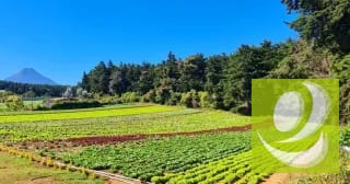 Terreno en Venta en Santo Tomas Milpas Altas, Sacatepéquez — Terreno en Venta en Santo Tomás Milpas Altas, Sacatepéquez — miniatura 6 de 8