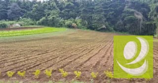 Terreno en Venta en Santo Tomas Milpas Altas, Sacatepéquez — Terreno en Venta en Santo Tomás Milpas Altas, Sacatepéquez — miniatura 4 de 8