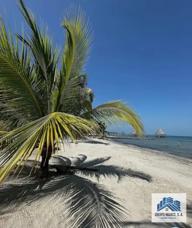 VENDO HERMOSA FINCA PUNTA MANABIQUE — Finca en Venta en Punta de Manabique, Izabal — foto 4 de 4