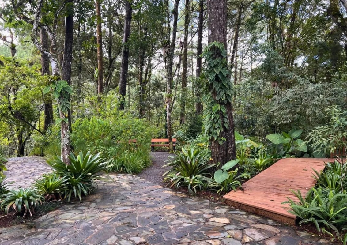 TERRENO EN LEGADOS DEL BOSQUE, AZARA. ZONA 16 — Terreno en Venta en Zona 16, Guatemala, Ciudad — foto 10 de 11