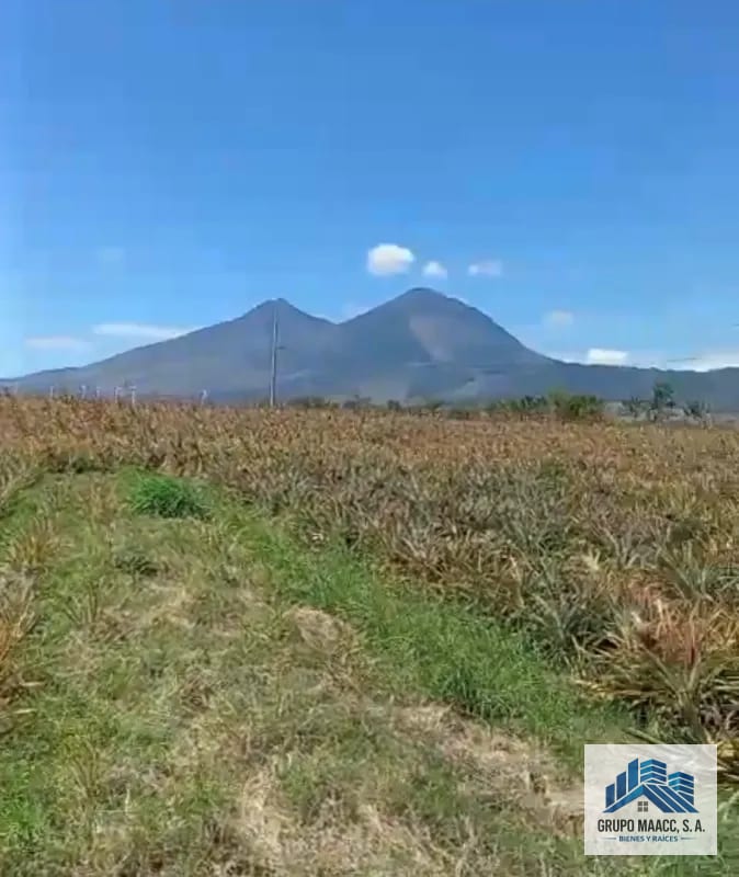 VENTA VARIAS FINCAS JOCOTILLO — Terreno en Venta en Villa Canales, Guatemala, Ciudad — foto 3 de 3