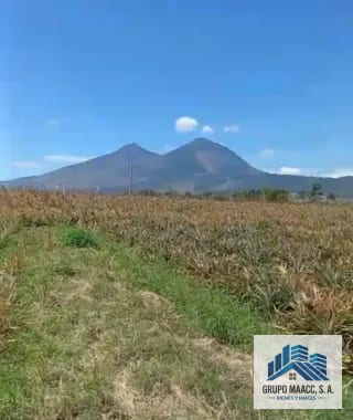 VENTA VARIAS FINCAS JOCOTILLO — Terreno en Venta en Villa Canales, Guatemala, Ciudad — miniatura 3 de 3
