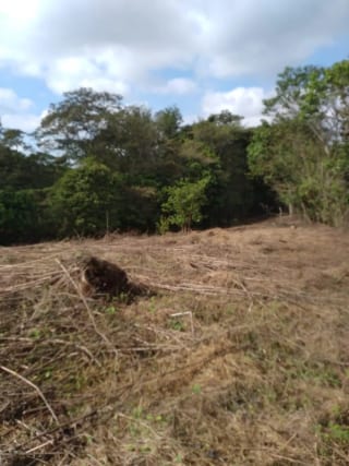 Terreno en venta - Km 30.2 Carretera a Fraijanes — Terreno en Venta en Fraijanes, Carretera a El Salvador, Guatemala, Ciudad — miniatura 6 de 9