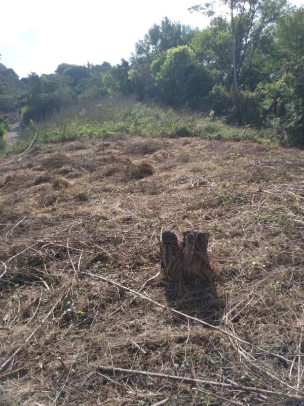 Terreno en venta - Km 30.2 Carretera a Fraijanes — Terreno en Venta en Fraijanes, Carretera a El Salvador, Guatemala, Ciudad — foto 4 de 9