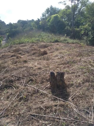 Terreno en venta - Km 30.2 Carretera a Fraijanes — Terreno en Venta en Fraijanes, Carretera a El Salvador, Guatemala, Ciudad — miniatura 4 de 9