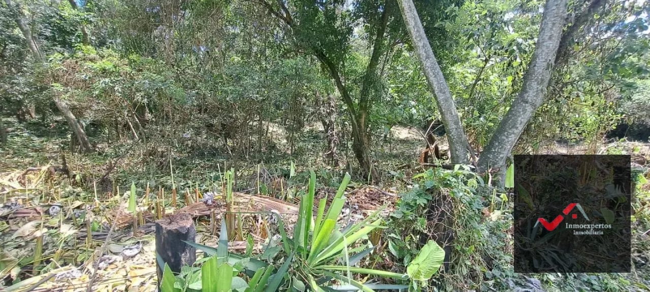 Terreno en Venta – Carretera a Palín, km 48 Ruta CA-9, Escuintla — Terreno en Venta en Palín, Escuintla — foto 14 de 15