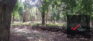 Terreno en Venta – Carretera a Palín, km 48 Ruta CA-9, Escuintla — Terreno en Venta en Palín, Escuintla — miniatura 10 de 15