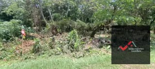 Terreno en Venta – Carretera a Palín, km 48 Ruta CA-9, Escuintla — Terreno en Venta en Palín, Escuintla — miniatura 8 de 15