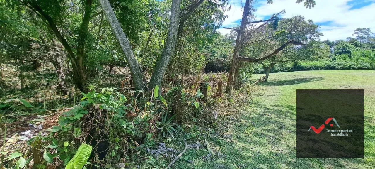 Terreno en Venta – Carretera a Palín, km 48 Ruta CA-9, Escuintla — Terreno en Venta en Palín, Escuintla — foto 7 de 15