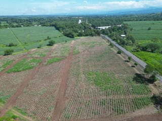 RESIDENCIAL CAMINO A TAXISCO / Terrenos en venta — Terreno en Venta en Palín, Escuintla — miniatura 1 de 4