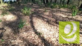 Terreno de Esquina en Venta en El Encinal Zona 7 Mixco — Terreno en Venta en Zona 7 Mixco, Guatemala, Ciudad — miniatura 7 de 7
