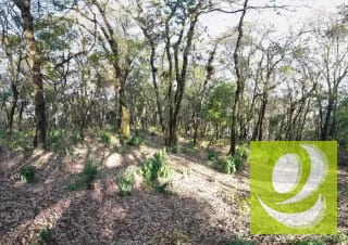 Terreno de Esquina en Venta en El Encinal Zona 7 Mixco — Terreno en Venta en Zona 7 Mixco, Guatemala, Ciudad — miniatura 4 de 7