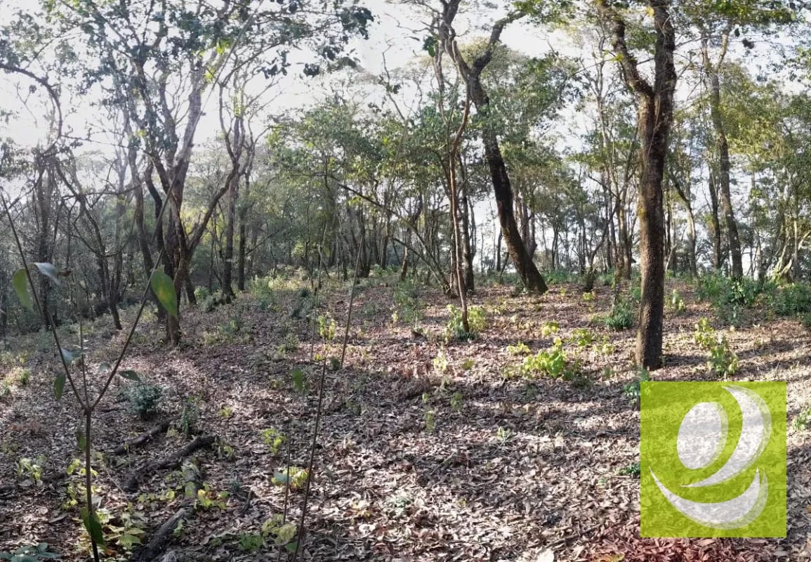 Terreno de Esquina en Venta en El Encinal Zona 7 Mixco — Terreno en Venta en Zona 7 Mixco, Guatemala, Ciudad — foto 3 de 7
