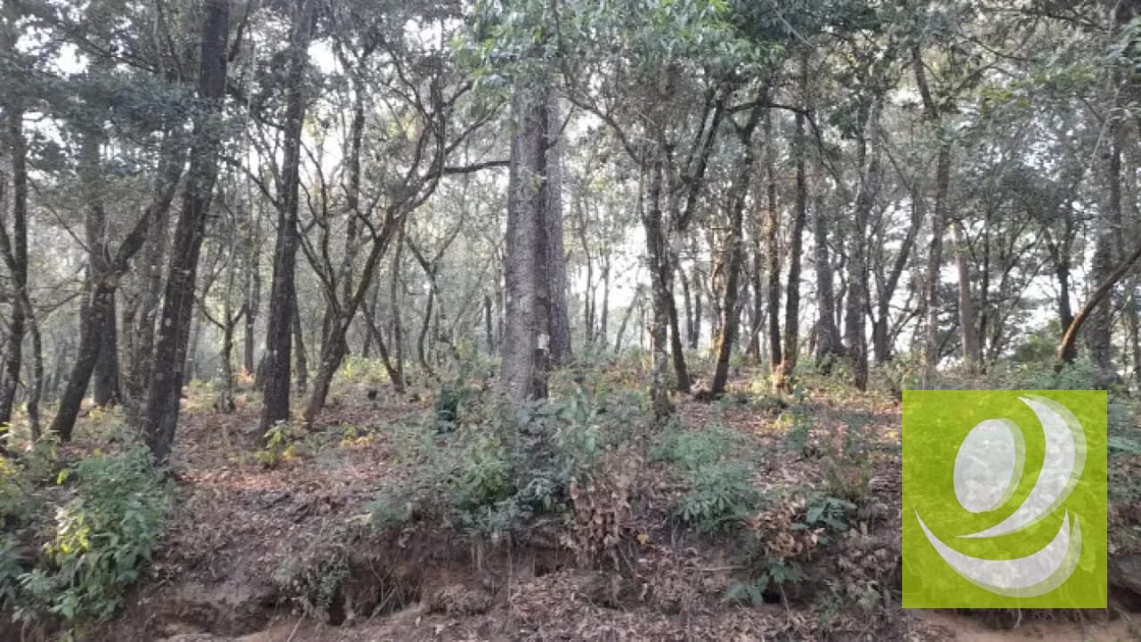 Terreno en Venta en El Encinal Zona 7 Mixco — Terreno en Venta en Zona 7 Mixco, Guatemala, Ciudad — foto 6 de 8