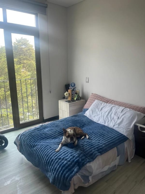 RENTO APARTAMENTO, Lirios de Cayalá zona 16 — Apartamento en Alquiler en Lirios de Cayalá II, Zona 16, Guatemala, Ciudad — foto 6 de 6