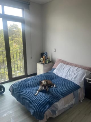 RENTO APARTAMENTO, Lirios de Cayalá zona 16 — Apartamento en Alquiler en Lirios de Cayalá II, Zona 16, Guatemala, Ciudad — miniatura 6 de 6