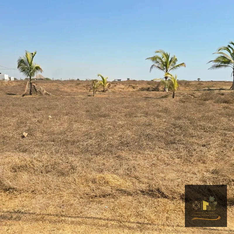 Terreno en Venta en El Paredon a 150 metros del mar — Terreno en Venta en El Paredón, Escuintla — foto 3 de 7