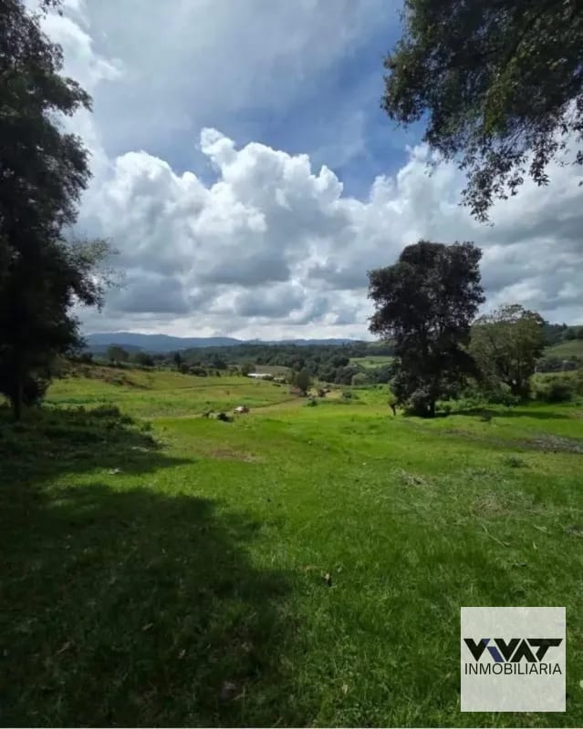 Terrenos en VENTA en Tecpán, Chimaltenango  en ENCINOS DE TEPÁN — Terreno en Venta en Tecpán, Chimaltenango — foto 9 de 11