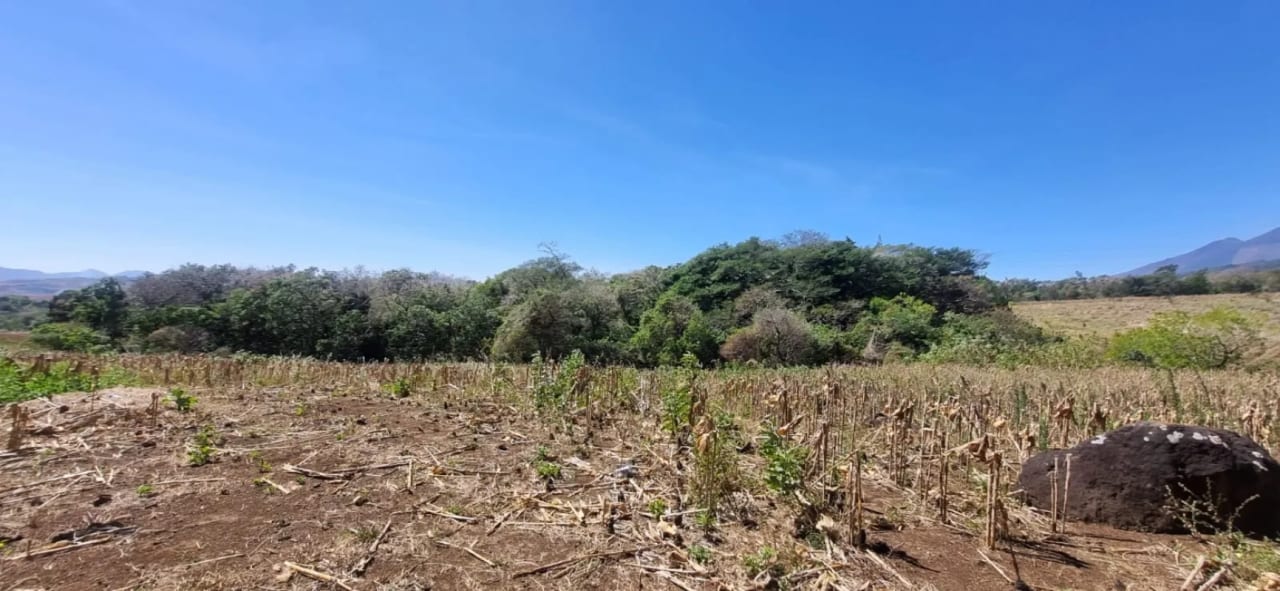 Terreno en Venta en el Jocotillo Calle Santa Rosita — Terreno en Venta en Santa Elena Barillas, Guatemala, Ciudad — foto 13 de 15