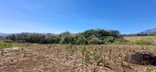 Terreno en Venta en el Jocotillo Calle Santa Rosita — Terreno en Venta en Santa Elena Barillas, Guatemala, Ciudad — miniatura 13 de 15