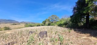 Terreno en Venta en el Jocotillo Calle Santa Rosita — Terreno en Venta en Santa Elena Barillas, Guatemala, Ciudad — miniatura 11 de 15