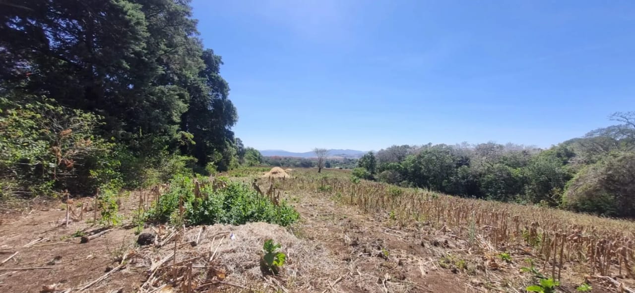 Terreno en Venta en el Jocotillo Calle Santa Rosita — Terreno en Venta en Santa Elena Barillas, Guatemala, Ciudad — foto 10 de 15