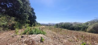Terreno en Venta en el Jocotillo Calle Santa Rosita — Terreno en Venta en Santa Elena Barillas, Guatemala, Ciudad — miniatura 10 de 15