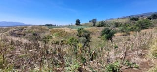 Terreno en Venta en el Jocotillo Calle Santa Rosita — Terreno en Venta en Santa Elena Barillas, Guatemala, Ciudad — miniatura 9 de 15