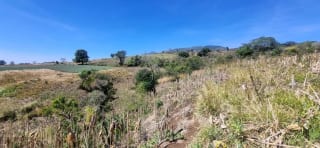 Terreno en Venta en el Jocotillo Calle Santa Rosita — Terreno en Venta en Santa Elena Barillas, Guatemala, Ciudad — miniatura 8 de 15
