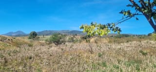Terreno en Venta en el Jocotillo Calle Santa Rosita — Terreno en Venta en Santa Elena Barillas, Guatemala, Ciudad — miniatura 1 de 15