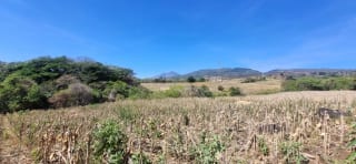 Terreno en Venta en el Jocotillo Calle Santa Rosita — Terreno en Venta en Santa Elena Barillas, Guatemala, Ciudad — miniatura 6 de 15