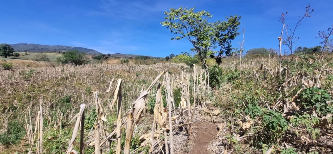 Terreno en Venta en el Jocotillo Calle Santa Rosita — Terreno en Venta en Santa Elena Barillas, Guatemala, Ciudad — foto 5 de 15