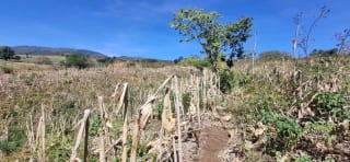 Terreno en Venta en el Jocotillo Calle Santa Rosita — Terreno en Venta en Santa Elena Barillas, Guatemala, Ciudad — miniatura 5 de 15