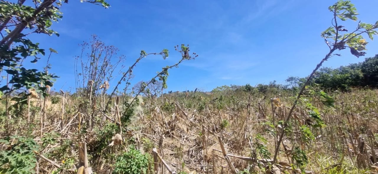 Terreno en Venta en el Jocotillo Calle Santa Rosita — Terreno en Venta en Santa Elena Barillas, Guatemala, Ciudad — foto 4 de 15