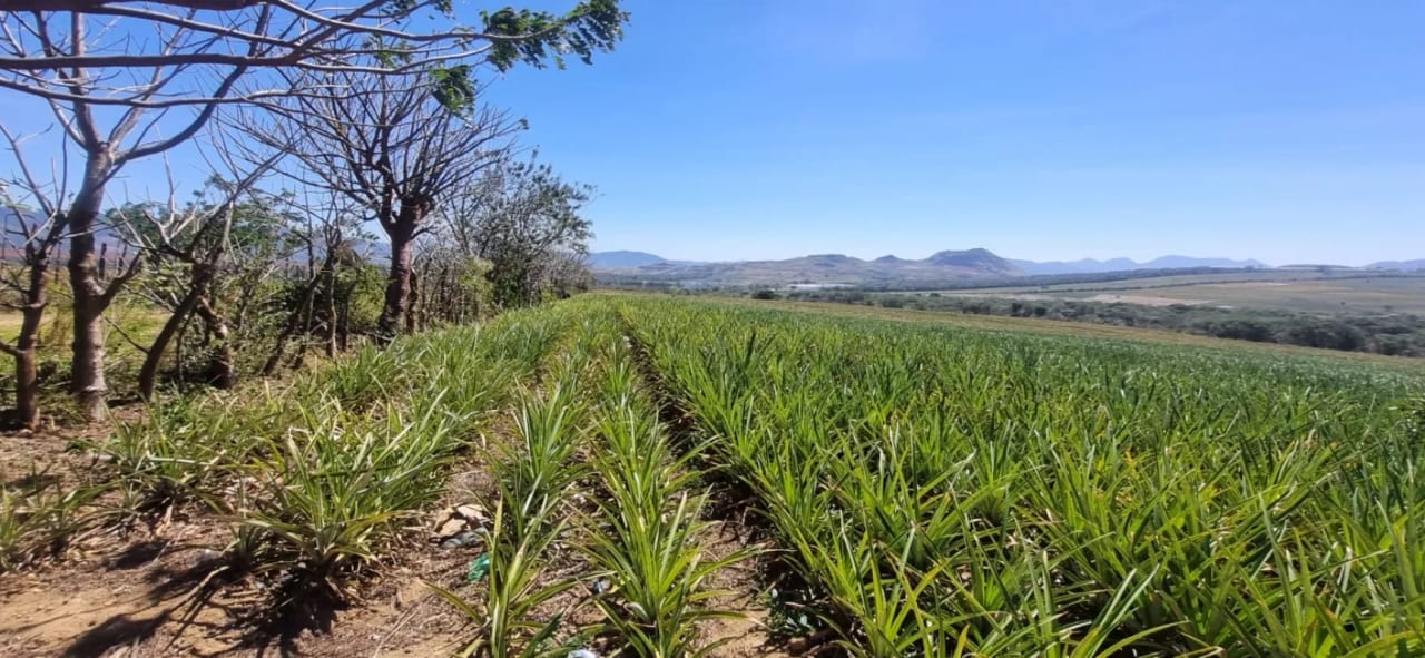 Terreno en Venta Jocotillo Villa Canales — Terreno en Venta en Santa Elena Barillas, Guatemala, Ciudad — foto 4 de 5