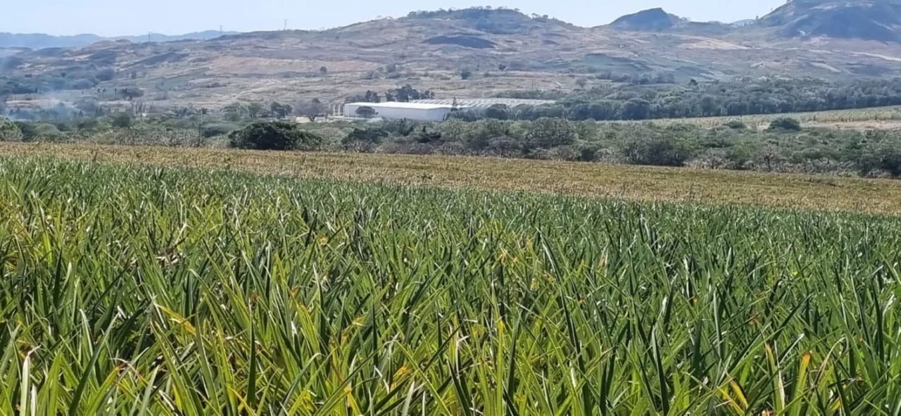 Terreno en Venta Jocotillo Villa Canales — Terreno en Venta en Santa Elena Barillas, Guatemala, Ciudad — foto 2 de 5