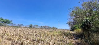 Venta de Terreno Jocotillo Santa Elena Barillas — Terreno en Venta en Santa Elena Barillas, Guatemala, Ciudad — miniatura 1 de 8