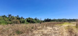 Venta de Terreno Jocotillo Santa Elena Barillas — Terreno en Venta en Santa Elena Barillas, Guatemala, Ciudad — miniatura 3 de 8