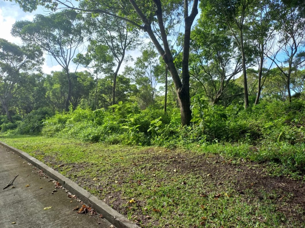 Terrenos en Casa y Campo, Km 23 Carretera a El Salvador — Terreno en Venta en Carretera a El Salvador, Guatemala, Ciudad — foto 5 de 5