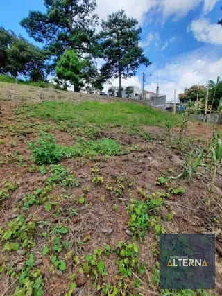 Terreno en Venta en Zona 16 en Condominio Peña Dorada — Terreno en Venta en Zona 16, Guatemala, Ciudad — miniatura 5 de 5