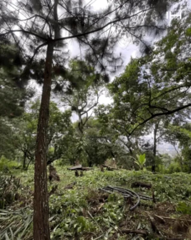 TERRENO EN VENTA EN SANTA ROSALÍA -CON ACCESO A ZONA 16 Y CARRETERA A EL SALVADOR- — Terreno en Venta en Carretera a El Salvador, Guatemala, Ciudad — foto 1 de 9