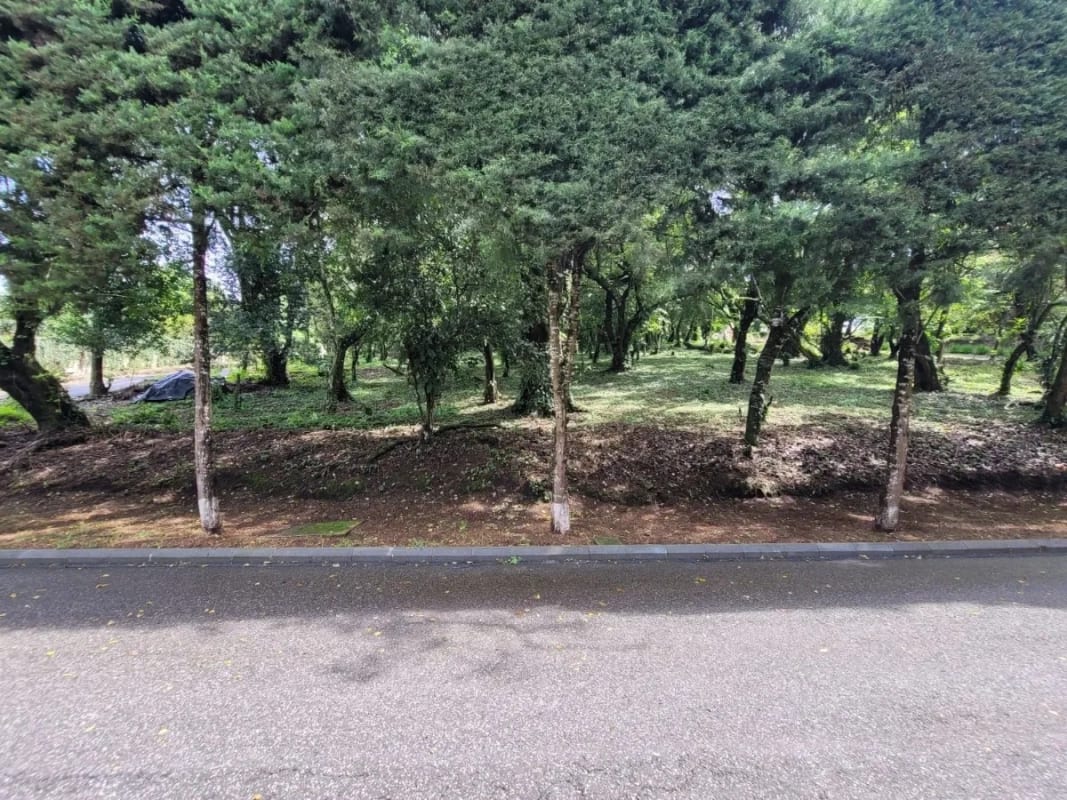Amplio terreno en km 20 CAES Fraijanes — Terreno en Venta en Fraijanes, Carretera a El Salvador, Guatemala, Ciudad — foto 1 de 6