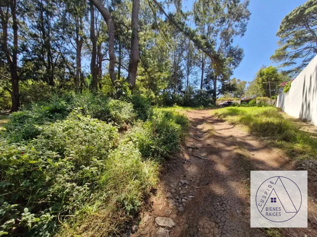 Carretera a El Salvador km 16 Lomas de San Rafael Terreno en Venta — Terreno en Venta en Lomas de San Rafael, Carretera a El Salvador, Guatemala, Ciudad — foto 2 de 4