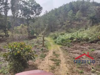 Finca en km 53.5 de la ruta de Chimaltenango — Terreno en Venta en San Martín Jilotepeque, Chimaltenango — miniatura 17 de 17