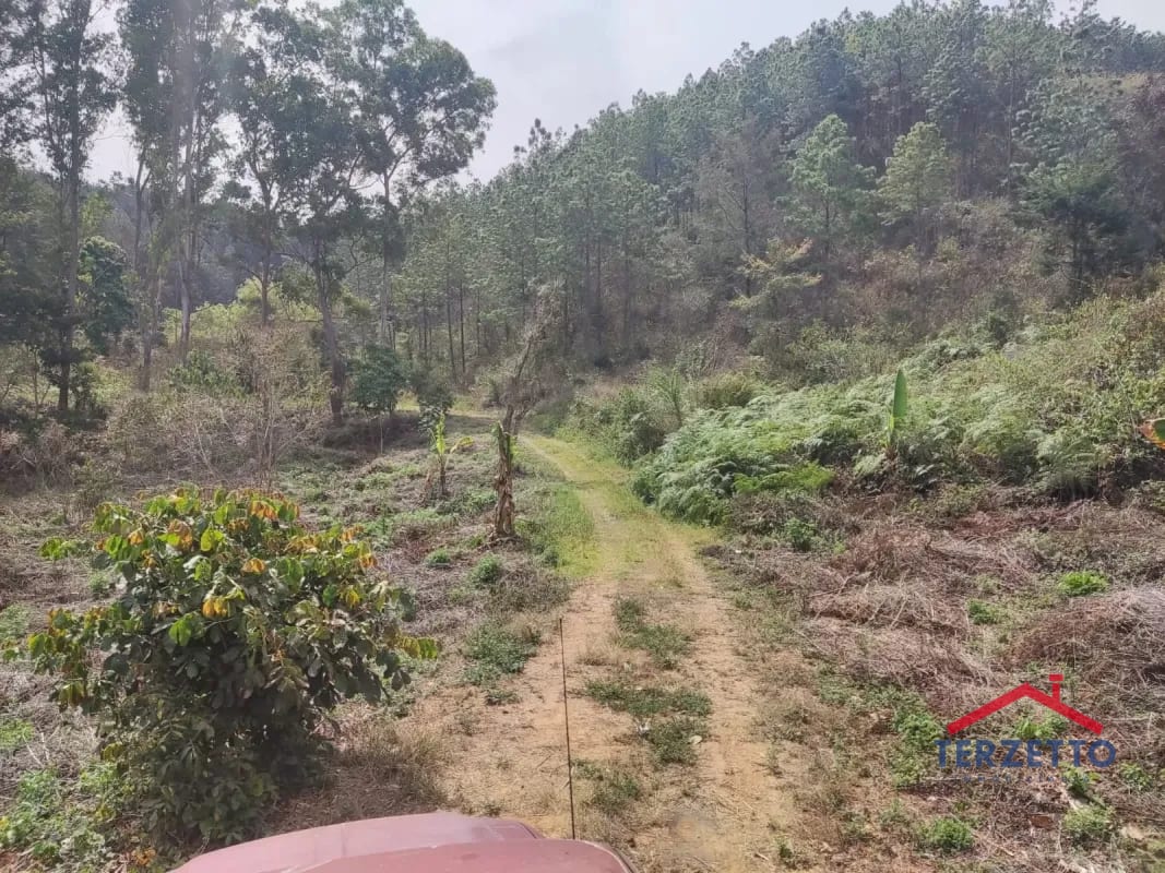 Finca en km 53.5 de la ruta de Chimaltenango — Terreno en Venta en San Martín Jilotepeque, Chimaltenango — foto 17 de 17