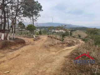 Finca en km 53.5 de la ruta de Chimaltenango — Terreno en Venta en San Martín Jilotepeque, Chimaltenango — miniatura 13 de 17