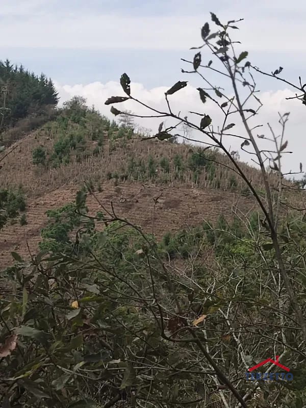 Finca en km 53.5 de la ruta de Chimaltenango — Terreno en Venta en San Martín Jilotepeque, Chimaltenango — foto 5 de 17